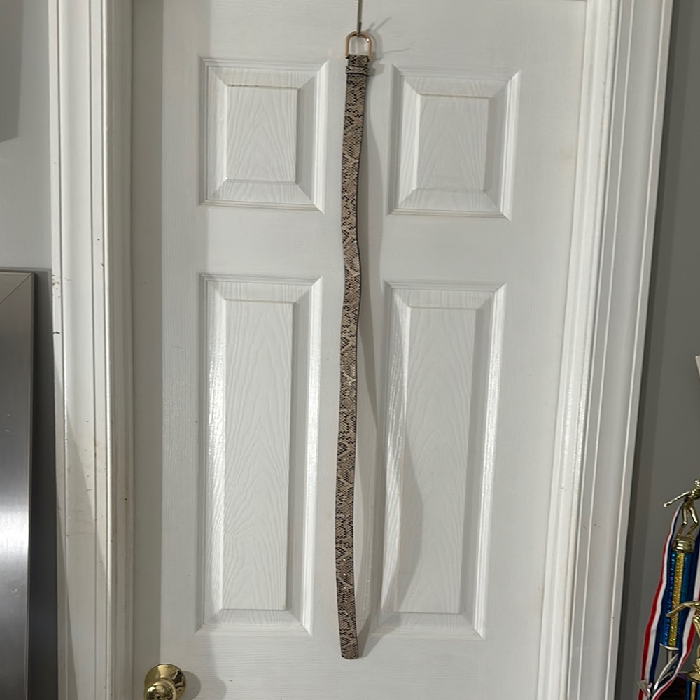 Snakeskin Belt